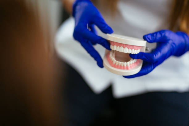 Best Traditional Braces  in Ketchum, ID
